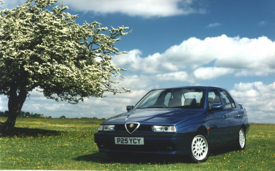  Alfa Romeo 155 (167) 1995 года  (фото 17 из 17)